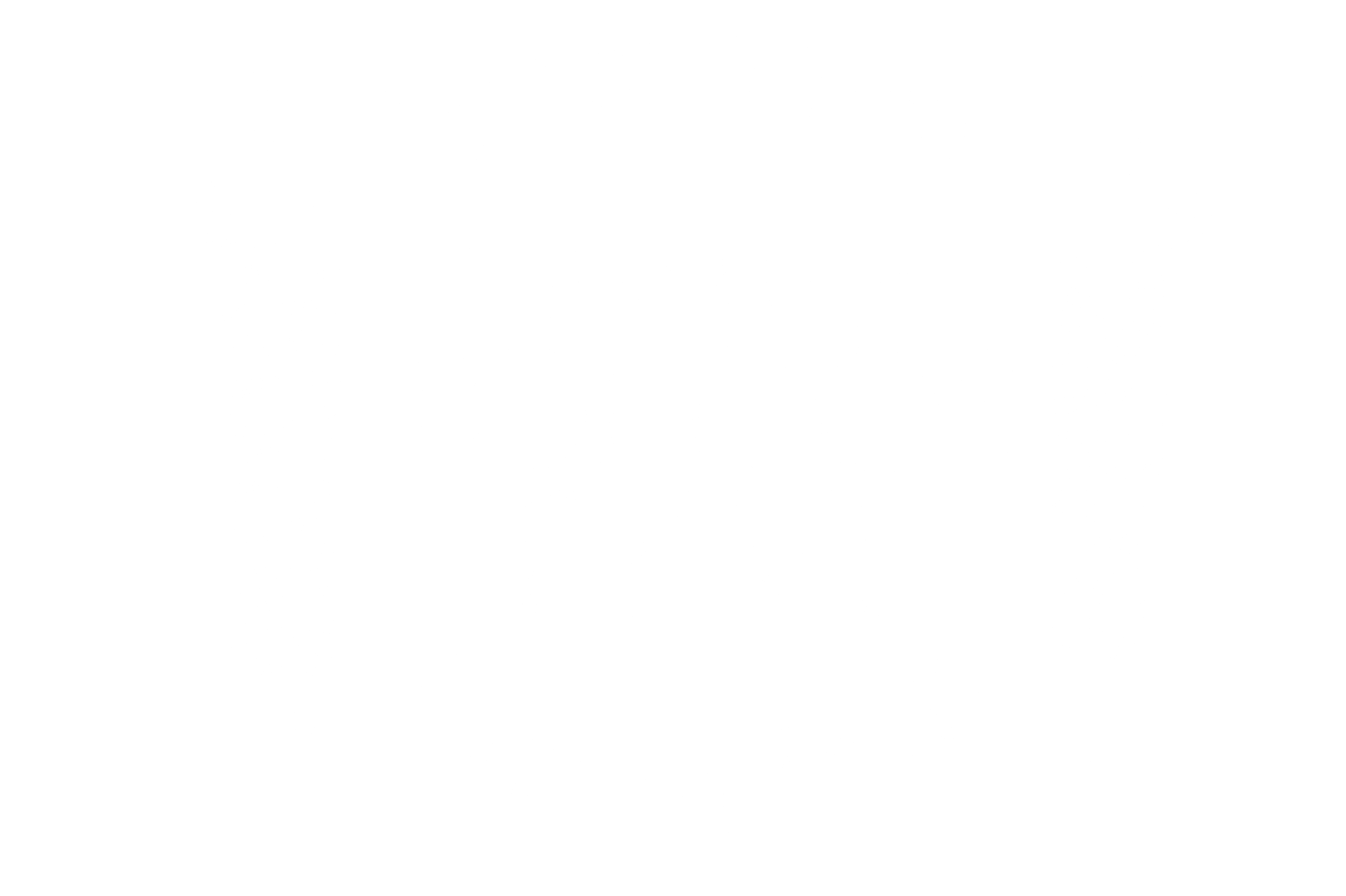 toldos tzvi yeshiva logo